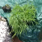 20130419124757043.webp