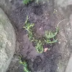 20130419124815639.webp