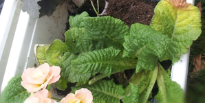 2013041912485029011.webp