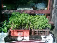 29. 04. 2013 (11).webp