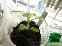 P1110648.webp