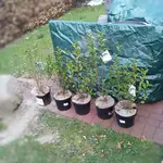 20130418193237339.webp