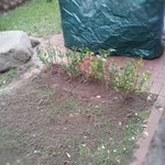 20130419133010698.webp