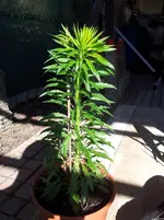 20130428_091024.webp