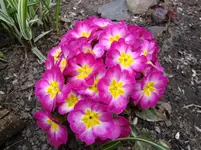 DSC02722.webp