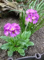 DSC02723.webp