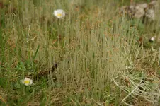 DSC03323.webp