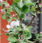 DSC_4526.2.webp