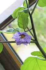 IMG_0637 Kopie.webp