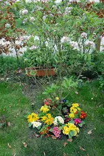 DSC_4570.2.webp