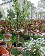 DSC_4586.2.webp