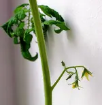 DSC_4505.2.webp