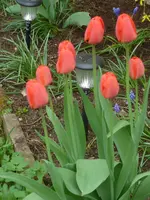 P1160731.webp
