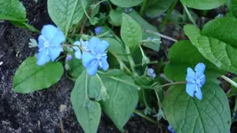 DSC03035.webp