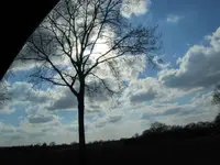 015.webp
