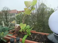 DSCF7257.webp