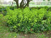 CIMG1127.webp