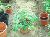 Topf (2).webp
