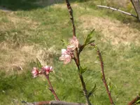 2013-04-26-253.webp