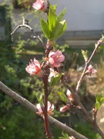 2013-04-26-254.webp