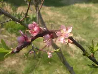 2013-04-26-255.webp