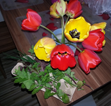 29.webp
