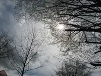 003.webp