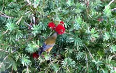 Copy of IMG_8973.webp