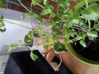 20130501_103919.webp