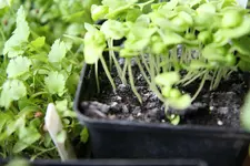 IMG_7021.webp