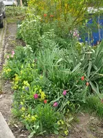 Blumenbeet1.webp