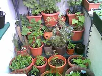 Balkon 1.Mai.webp