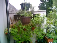 Balkon Mai.webp