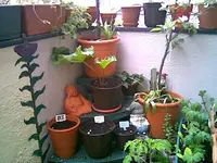 Balkon Ende April.webp