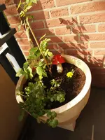 K1600_P5013175.webp