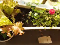 K1600_P5013178.webp