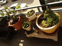 K1600_P5013180.webp