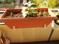 K1600_P5013179.webp