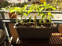K1600_P5013182.webp