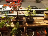K1600_P5013189.webp