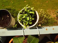 K1600_P5013181.webp