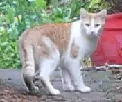 tiere_besucher.webp