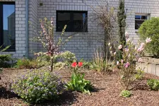 Vorgarten 130501.webp