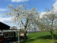 IMG-20130501-WA0001.webp