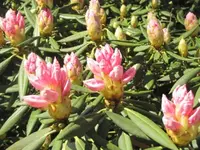 074.webp