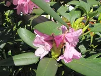 043.webp