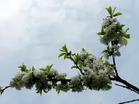 Himmlisch_3140.webp