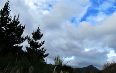 Copy of IMG_8497v.webp