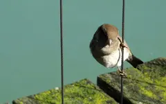 Copy of IMG_8840 v.webp