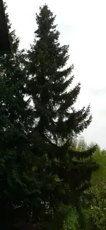 P1050570.webp